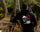Hoodie Calmont
